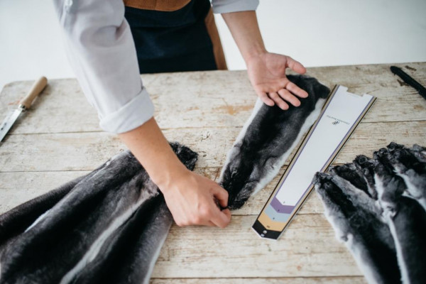 Выращивание шиншил и производство шиншиллового меха